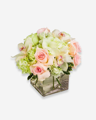 Eleganr by BloomNation